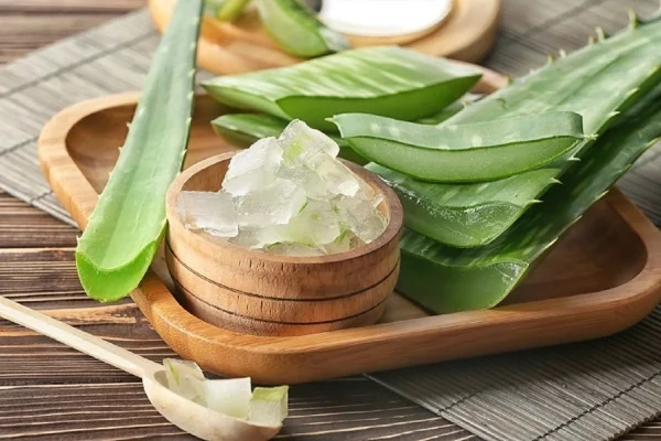 خواص ژل آلوورا برای پوست